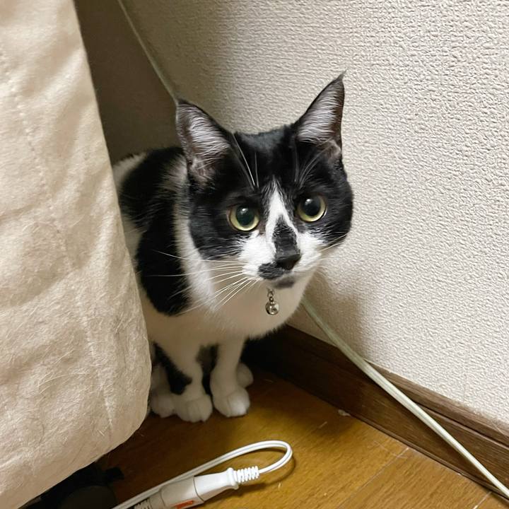 Df98b559 60b3 44e7 8347 4f6777c5cb6e 1766530778533