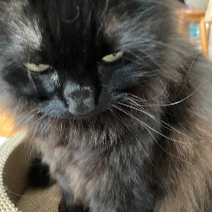 Df98c4a2 2fa4 4097 a552 ee0c232510dc 1581584799658