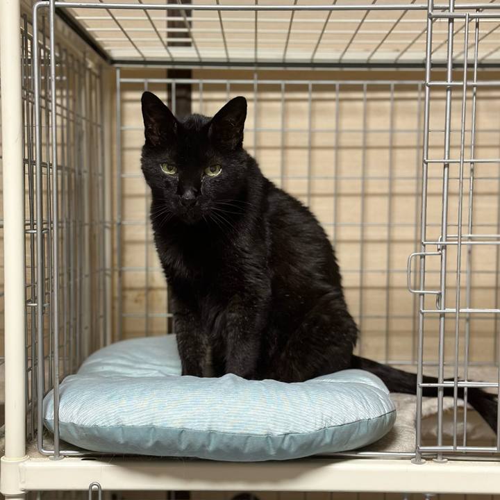 Df98ccf3 ce5d 4ab7 84f2 c11cdb76e160 1688434375263