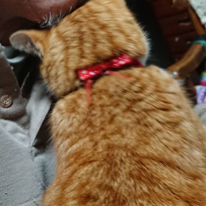 Df99149d e001 4aea aa96 8e66dcd1c4aa 1579725481616