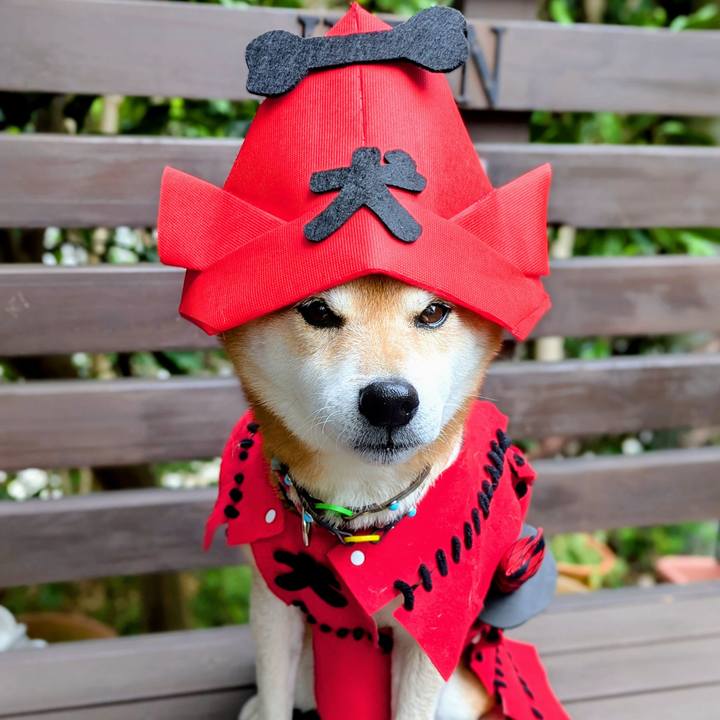 Df992527 bb01 4f8f a42e b89e8d57c1e2 1762059421221