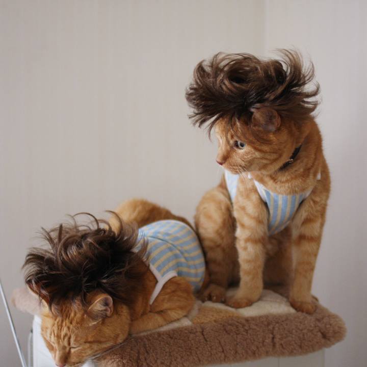 Df993b29 7f87 4387 8ec4 8b64f715ef37 1743223194828