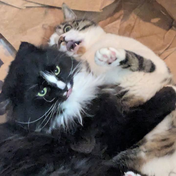 Df995556 58e0 41ec a8f8 39790c5da7c8 1750112673557