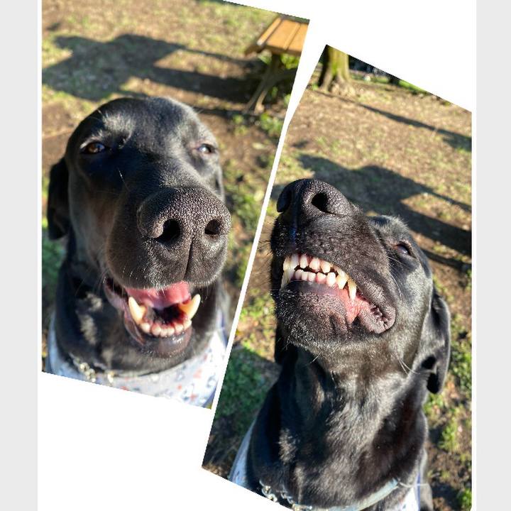 Df998ef7 cc16 4e13 9231 873dce0ba5b7 1775303187011