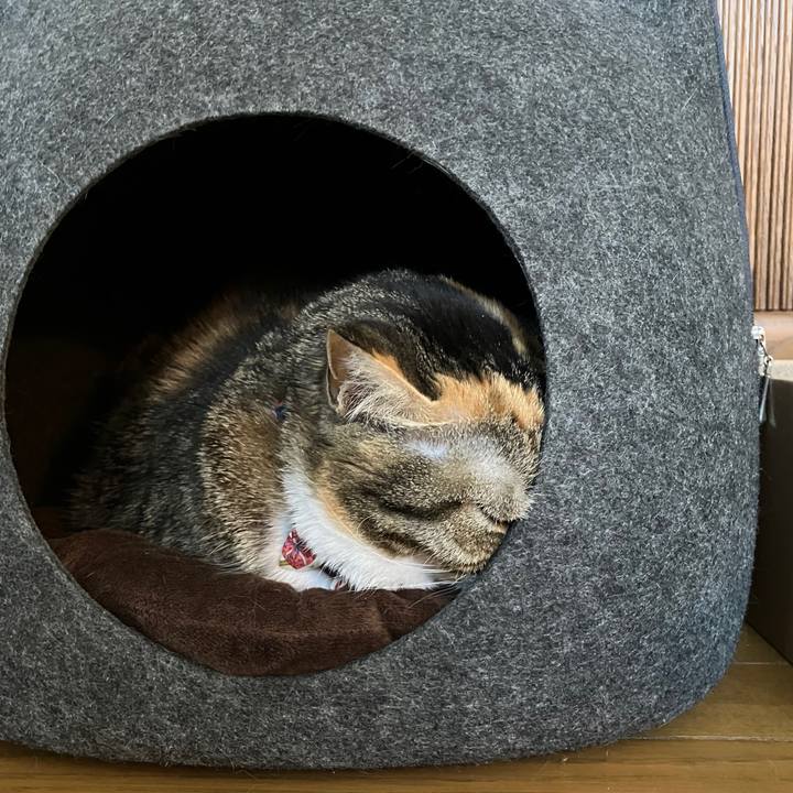 Df999249 76f3 4796 97b0 168680ef0b62 1766988337069