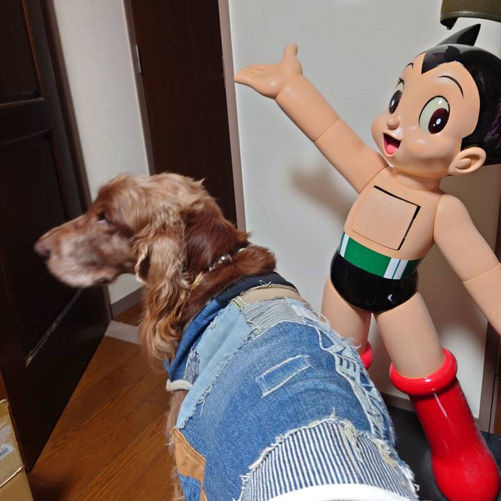 Df99d88c fac0 4bf5 9e60 3bb220c01d0b 1608867939156