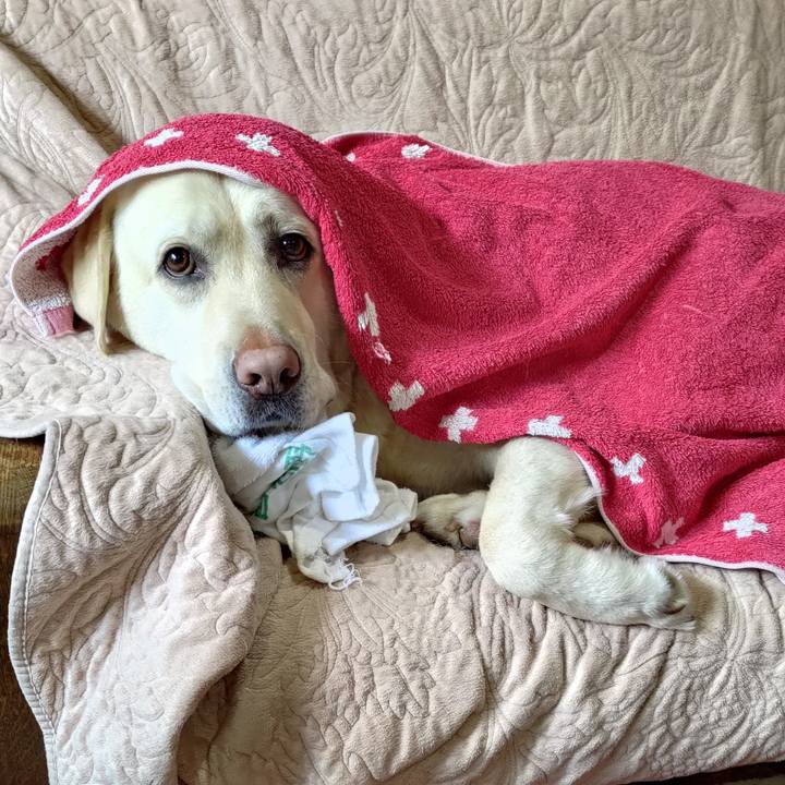 Df99e2aa 7681 40ef 8b81 14a7540eca35 1648635236226