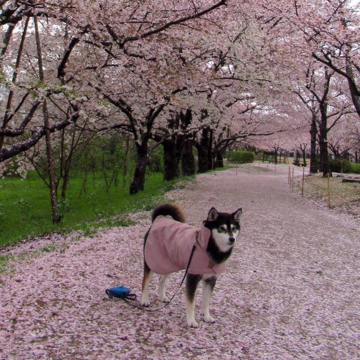 Df99fca5 3afb 4470 9821 507828000411 1617579439029