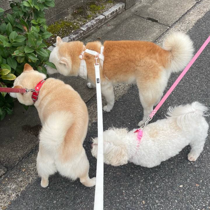 Df9a0c74 eb4a 46dd ac44 1833008c8f48 1661435580927