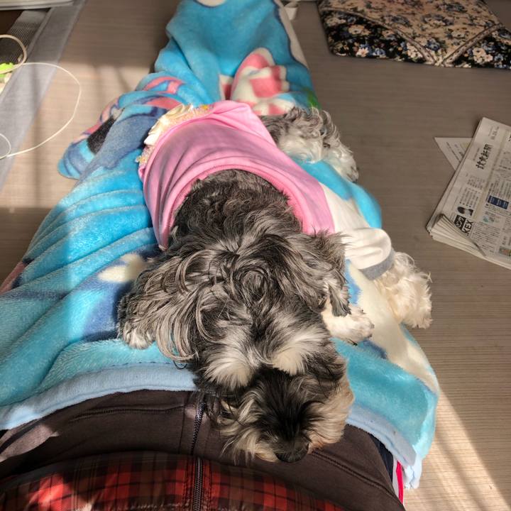 Df9a3671 f14e 4c8f 8edb 09f4950e0927 1635057286855