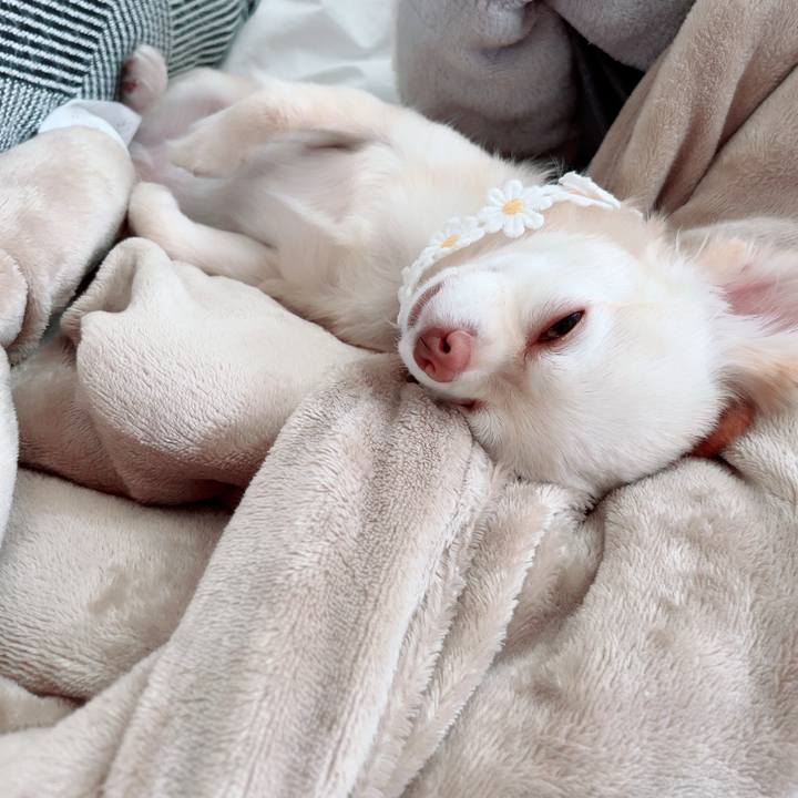 Df9a515c 88df 45d7 8281 4175def56ecd 1688456217079