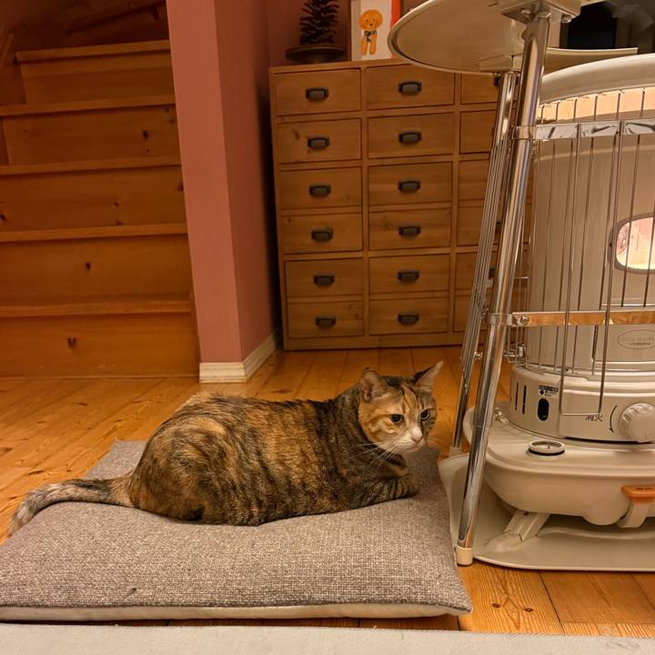 Df9a5322 a529 48b4 8199 03d4c71dbee6 1772019731917