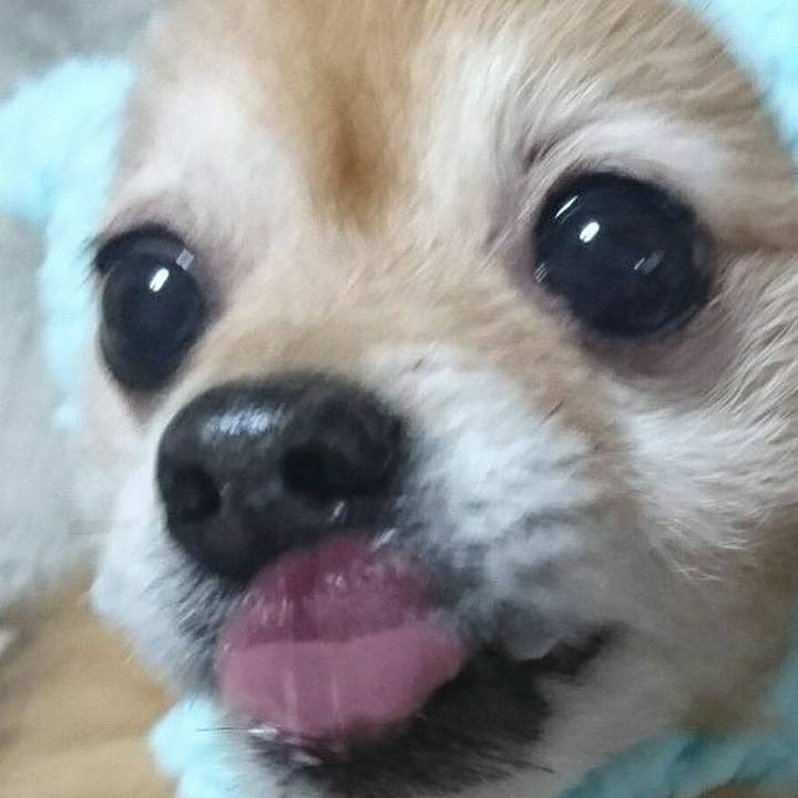 Df9a6b75 2787 4434 8230 57c980925c2b 1512214879978