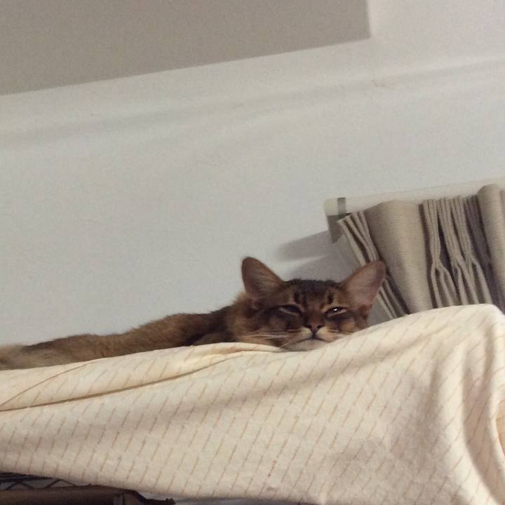 Df9a7553 9e81 471b a091 4e5c6b0abfa0 1591523749961