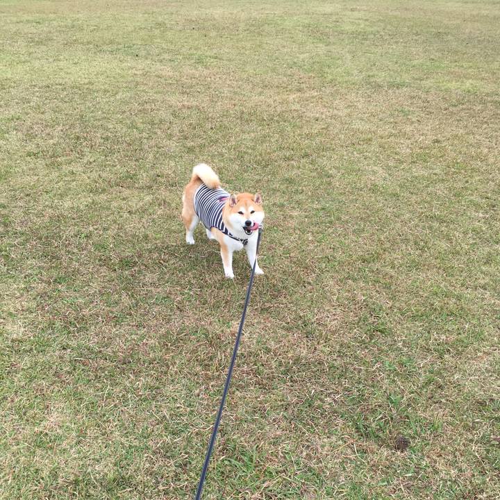 Df9a7753 b074 4a72 9556 783ef65bba98 1541469278208