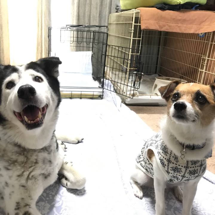 Df9aa71a 6f7c 438f af1c c212c5718951 1534998186667