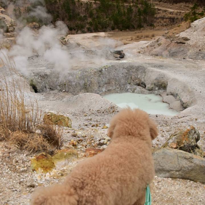 Df9ab98f fbdc 4a92 a269 900eb01cad4f 1520148926167