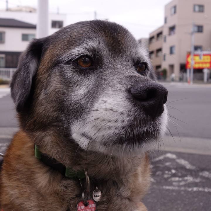 Df9ad8c0 b20c 4ed5 930d bad032f8bbdc 1630369760736