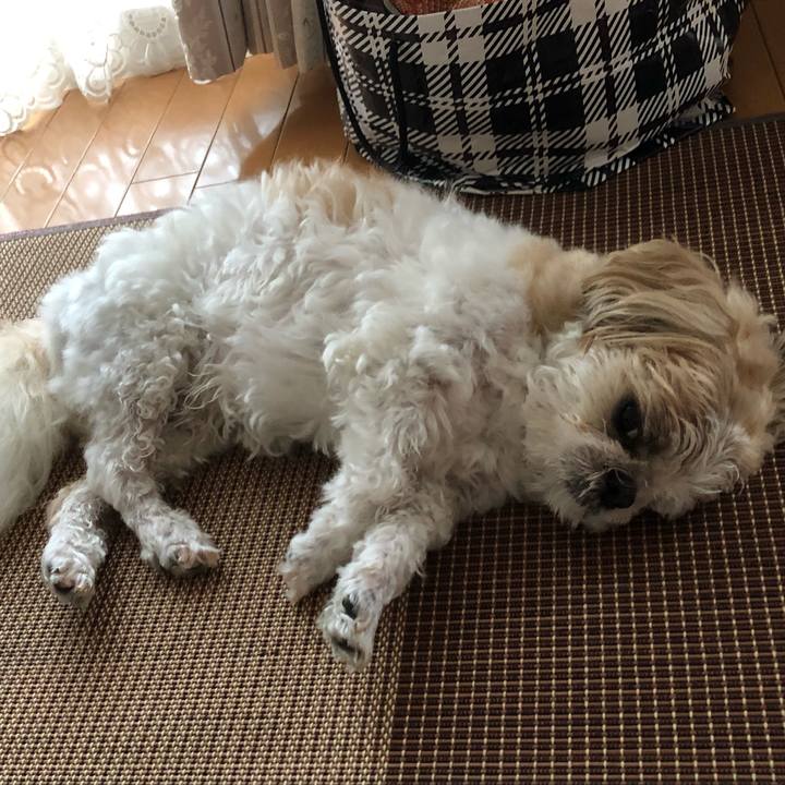 Df9ad9b1 881d 45d5 86d5 bf438b984ca2 1629495958102