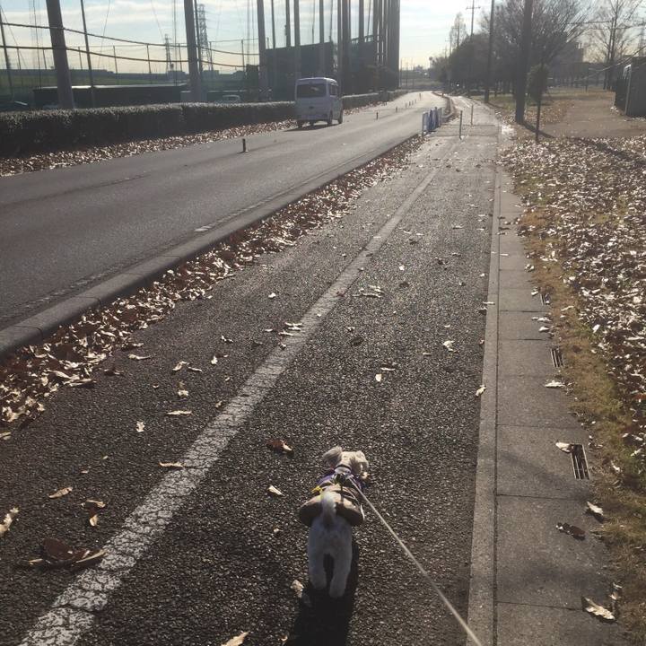 Df9afe4d 2f47 4b3e 8e66 cbfa3a7c068d 1513577146651