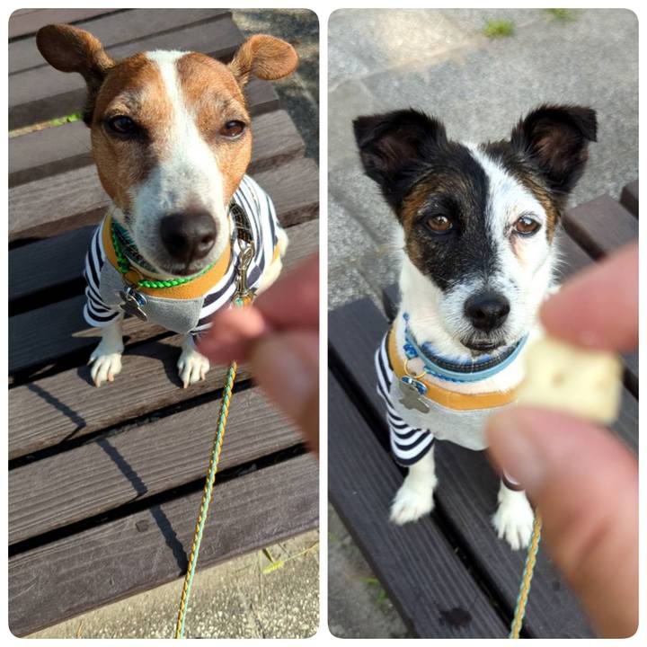 Df9b0306 c034 4bb2 87e4 9414c46d76b0 1723503538625