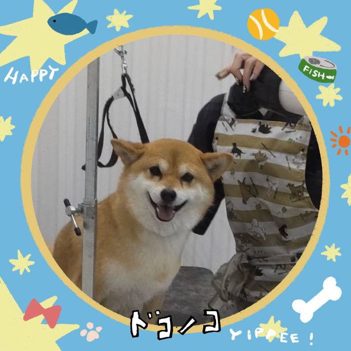 Df9b3499 73e8 4ea4 a961 6d24a540566c 1720835772980