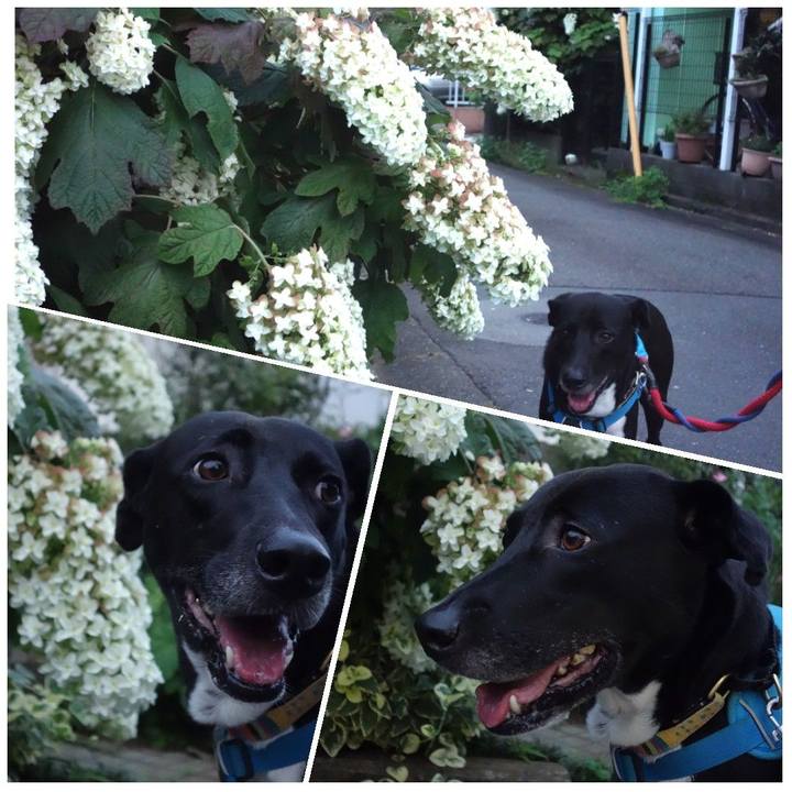 Df9b5f0a 17ee 47a8 a8b5 9e7bd8134d97 1623668747012