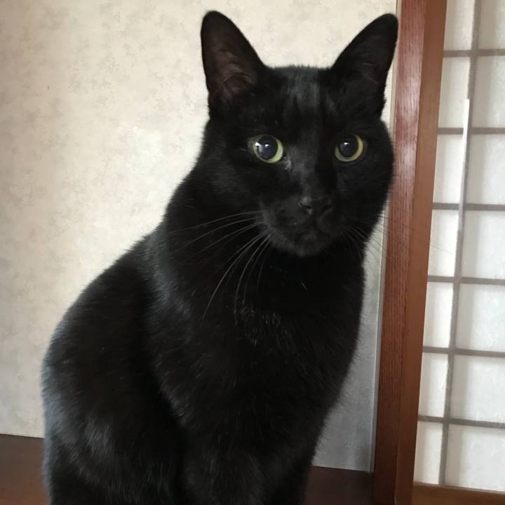 Df9bd918 9872 4e79 96fb f21293b2f031 1517103022414