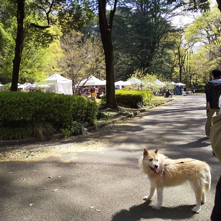 Df9bfaf5 bb01 4536 a464 5191d10b53e4 1555719393271