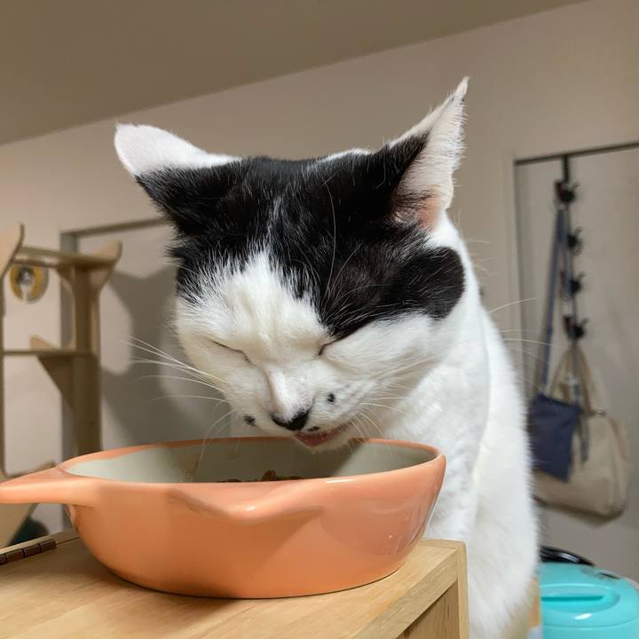 Df9c782a b25c 4364 b435 e98e968b580d 1768338462070