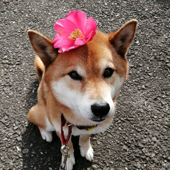 Df9c92f9 ffea 4d29 889c 91e14836f522 1584076379378