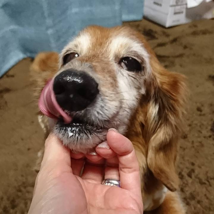 Df9cb1a4 52db 4b6b b560 b7f95aa8556f 1517789832135