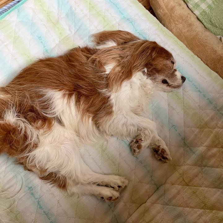 Df9cdcc3 26e5 4ef7 8efc bcb405035e98 1623445535649