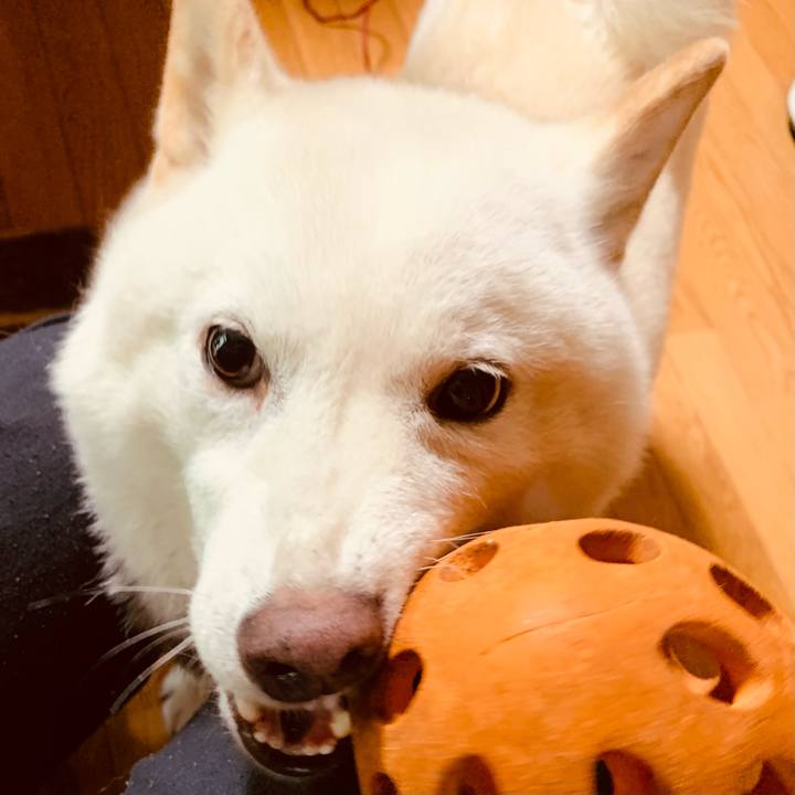 Df9cfd20 5b23 4efc b335 2ecaf8e907d5 1629876943552