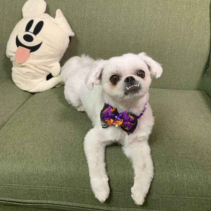 Df9d129c 827a 459e b8cc 111405d61ccd 1697637510506