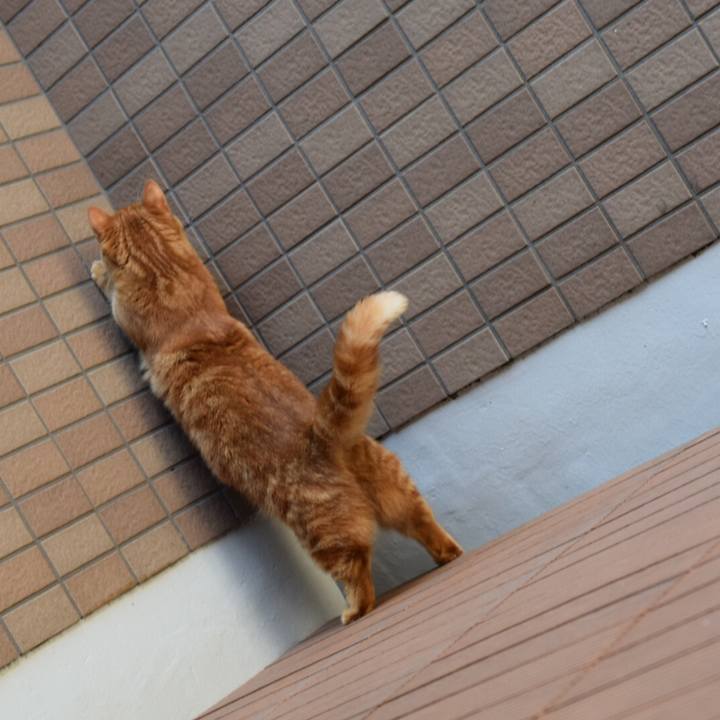 Df9d2cb9 497d 477c 9707 0de4509fef5f 1524375065864