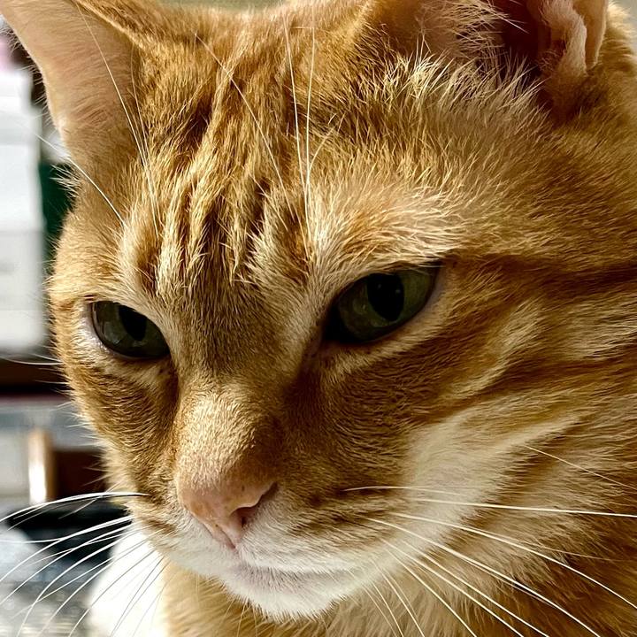 Df9d4e77 0ec9 43bc 9b69 cf8ac5b91de0 1681340370209