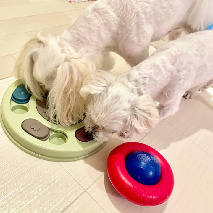 Df9d55d3 e0c1 4843 918b d63d34786605 1630757527270