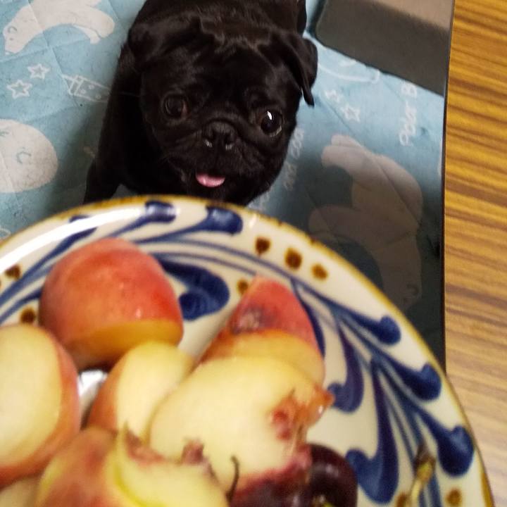 Df9d7c75 9556 4b4e ad90 a7aafeb6241a 1598013741443