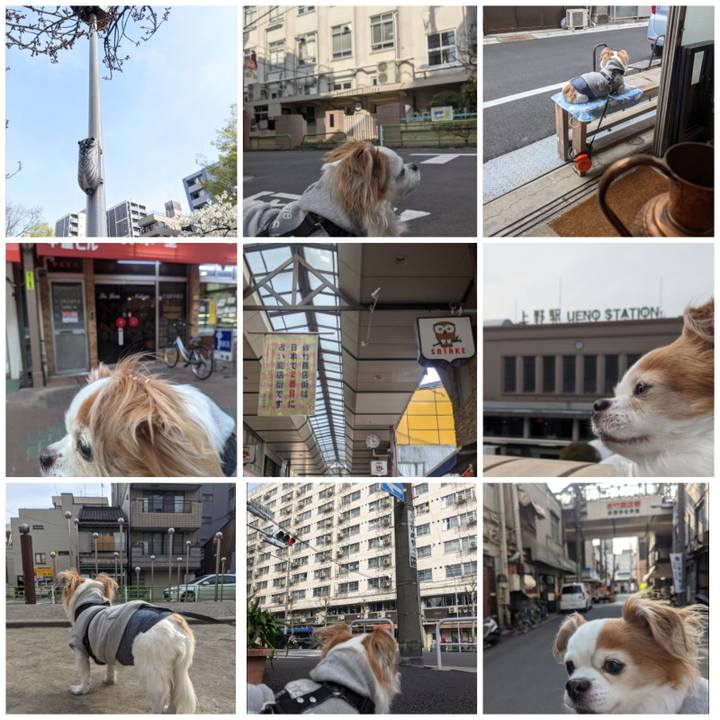 Df9d8182 a314 4140 98c9 5ea7c548b364 1616834346110