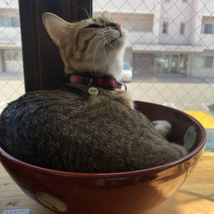 Df9d83e5 fc2e 4e01 8d03 b2d59734272f 1649389054536