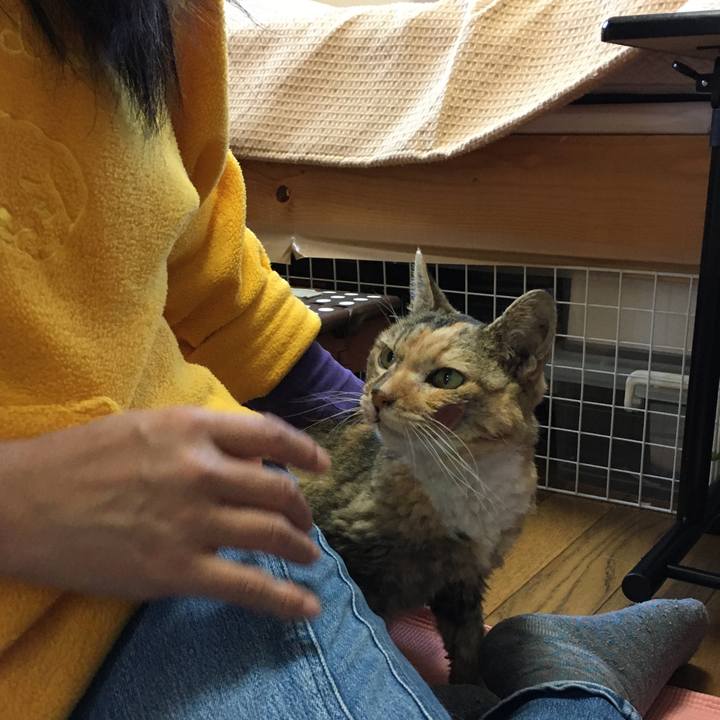 Df9d9d9b 6c43 4e47 aff7 2fbacfa618a5 1577692929247