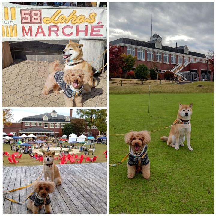 Df9da438 9db6 4bae 9225 aa41924a4c74 1604736434354