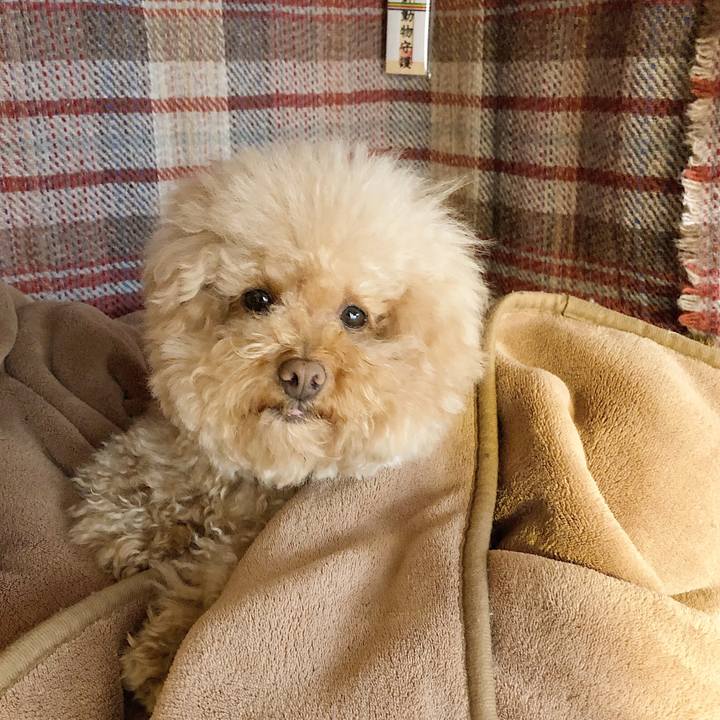 Df9daedd d407 4c65 9a3b 8cc253db2a38 1523161870886