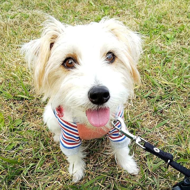 Df9ddf21 66b5 4d1d a711 db5ee7ce3f87 1543127182001