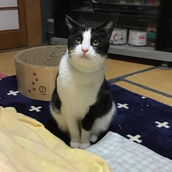 Df9defad a255 4949 9349 af09c112ddb4 1737371616574