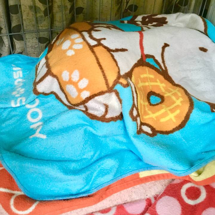 Df9e2e7e 4fb2 4adc 943e e019044b36b1 1763531329542