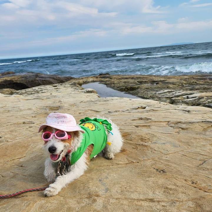 Df9e6471 f61e 4b61 901b 7ba3af32cae2 1656802744360