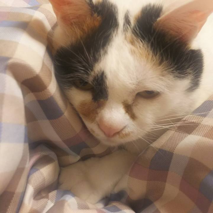 Df9eb5c8 5f81 4a2c 83de 6c1e18dad73d 1559833760580