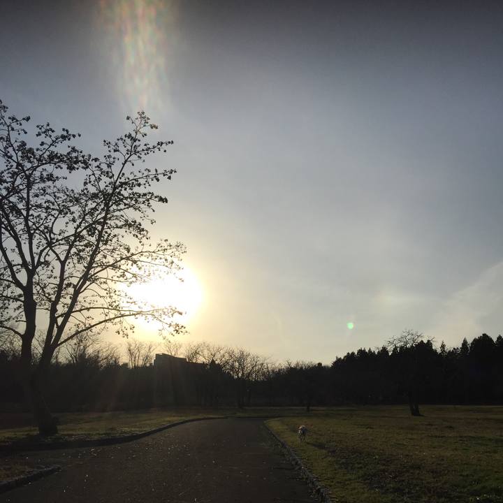 Df9ecb5f 7928 44b3 bab6 7c6978357597 1555499390302